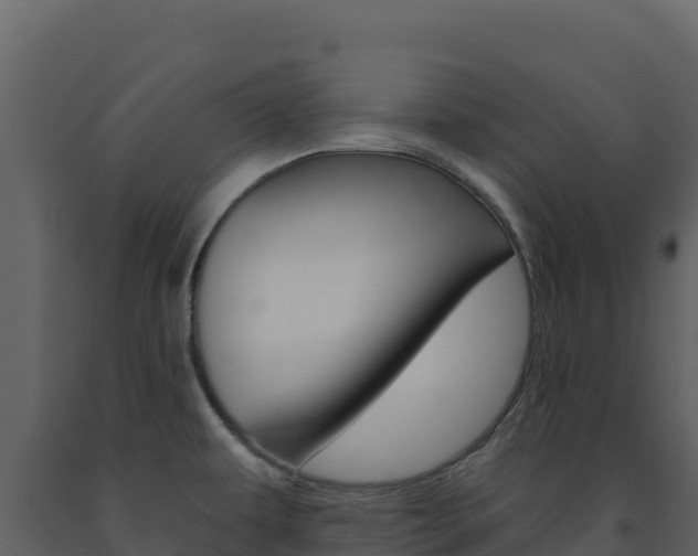 X0000091731479200708241032