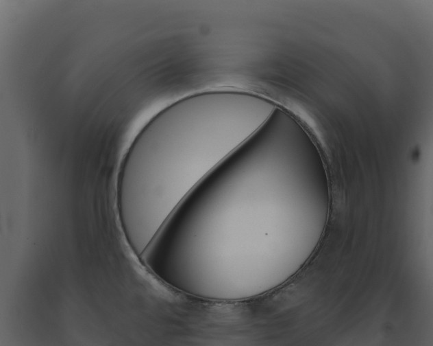 X0000091731480200708241032