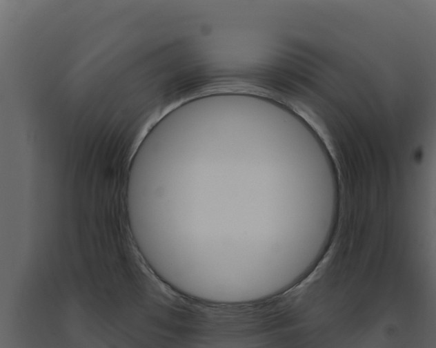 X0000091731481200708241032