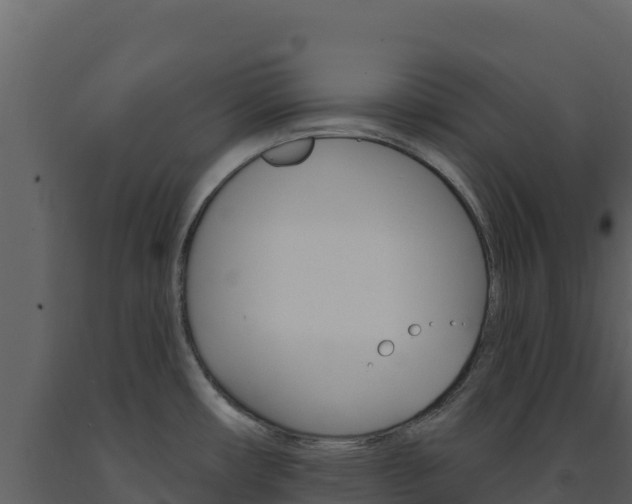 X0000091731482200708241032