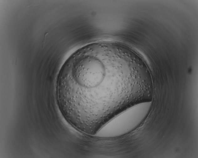 X0000091731483200708241032
