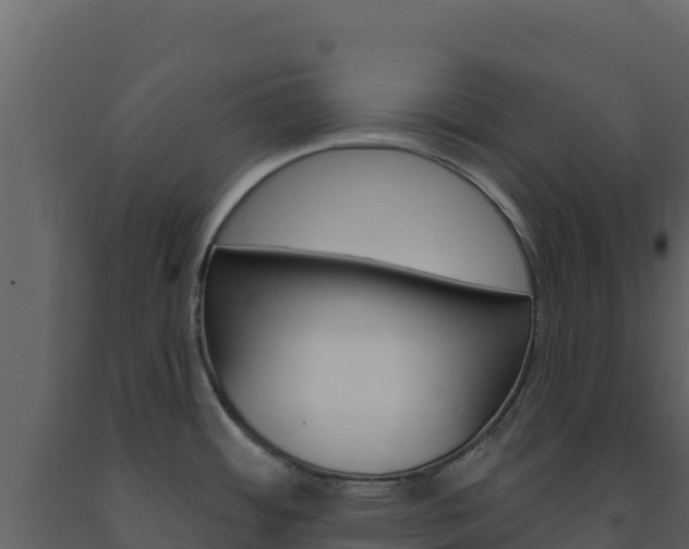 X0000091731484200708241032