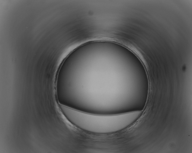 X0000091731485200708241032