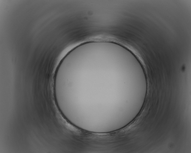 X0000091731486200708241032