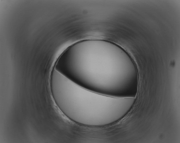 X0000091731488200708241032