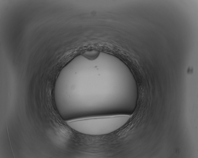 X0000091731489200708241031