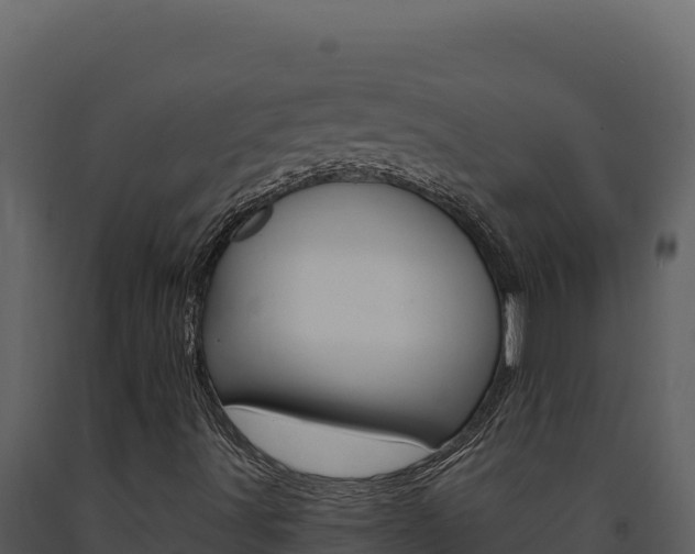 X0000091731491200708241031