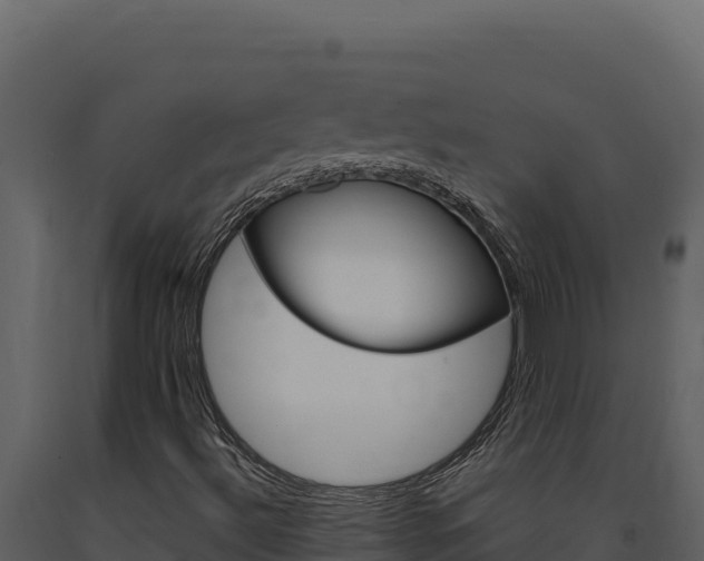 X0000091731492200708241031