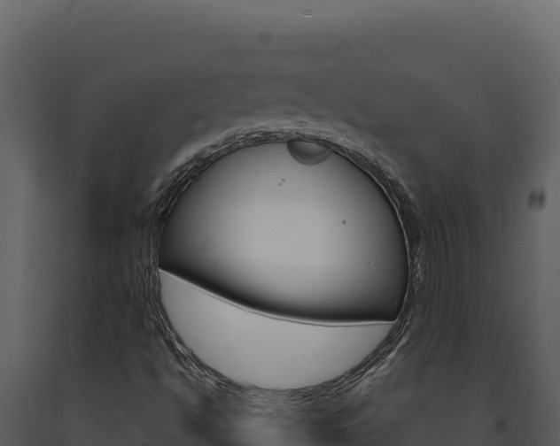 X0000091731494200708241031