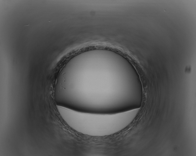 X0000091731495200708241031