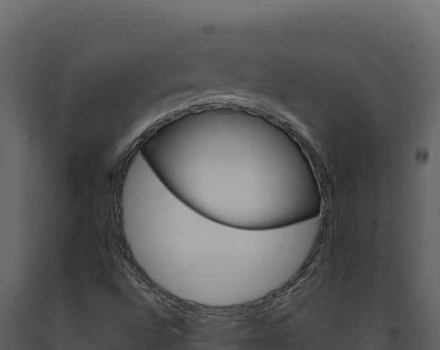 X0000091731496200708241031