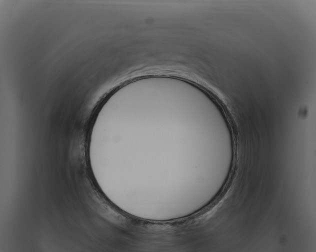 X0000091731498200708241031