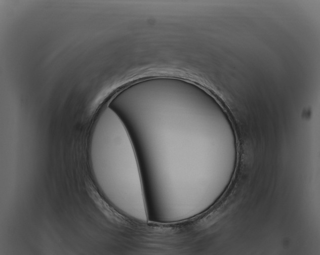 X0000091731499200708241031