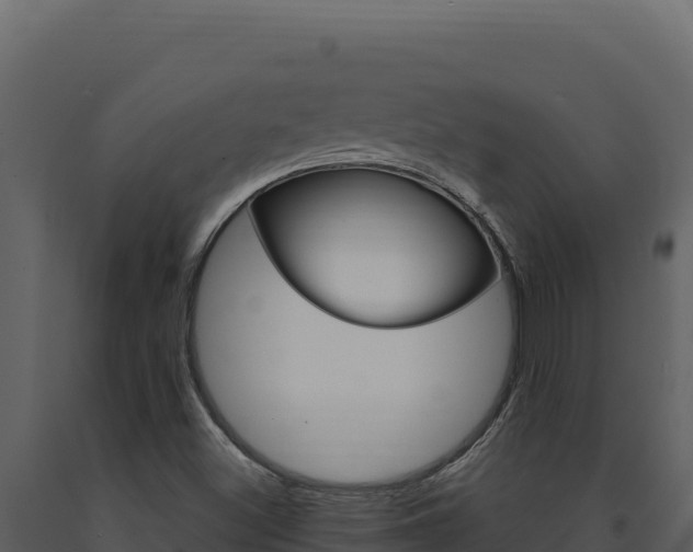 X0000091731500200708241031