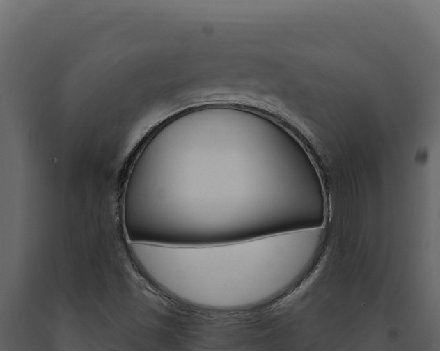 X0000091731501200708241031