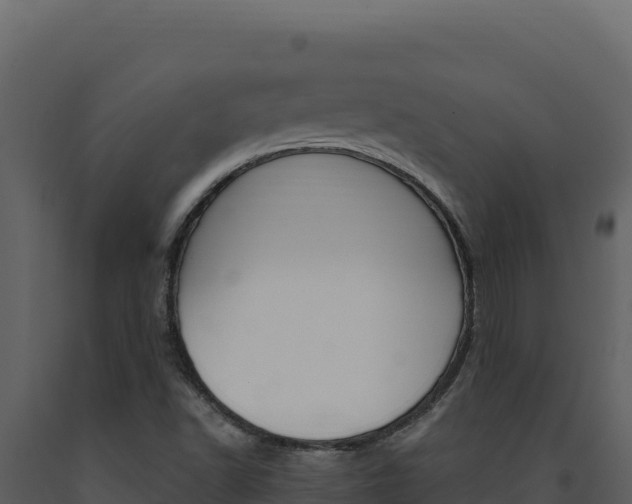 X0000091731502200708241031