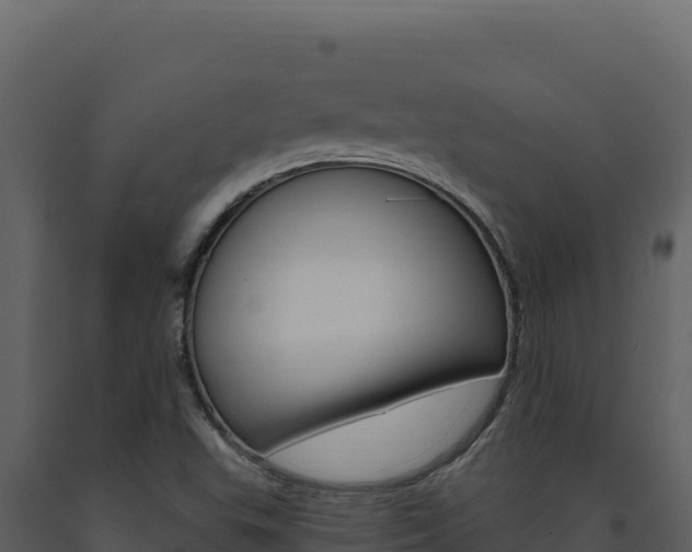 X0000091731503200708241031