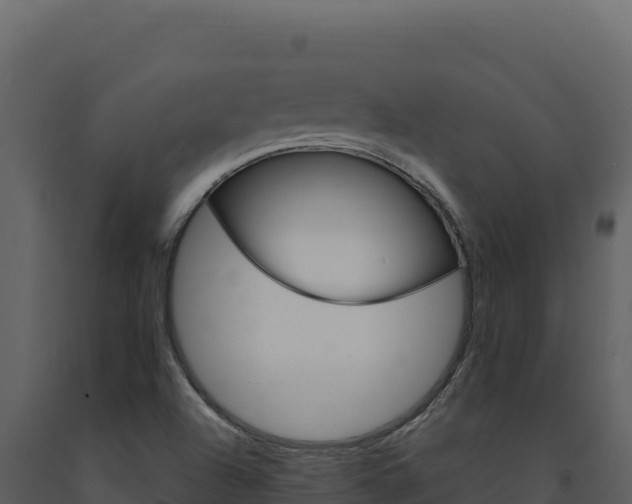 X0000091731504200708241031