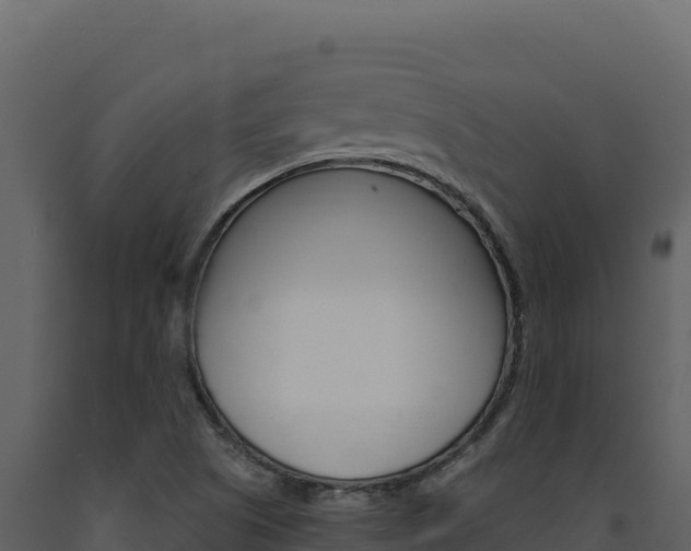 X0000091731505200708241031