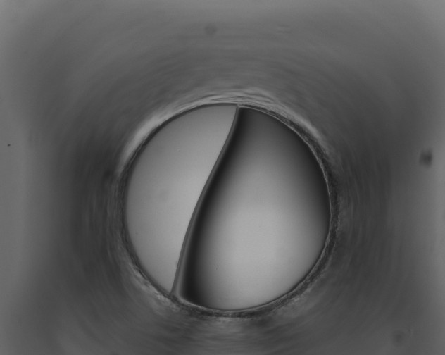 X0000091731506200708241031