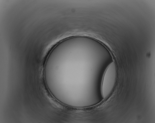 X0000091731507200708241031