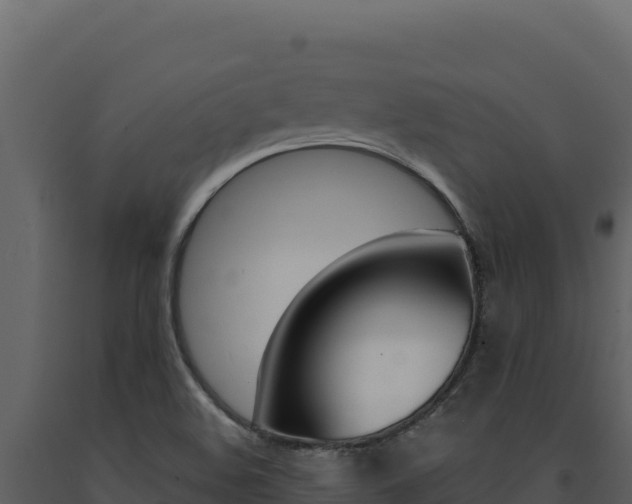 X0000091731508200708241031