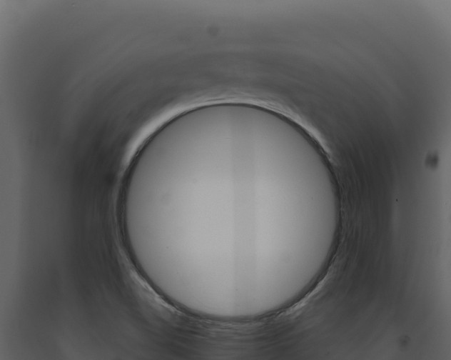 X0000091731510200708241031