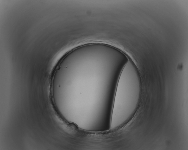X0000091731511200708241031