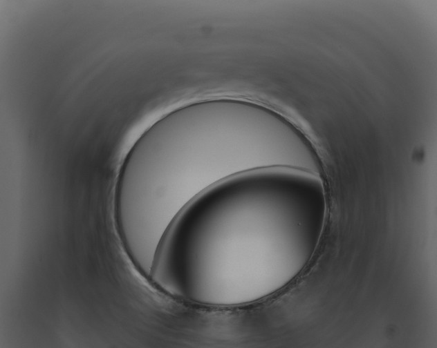 X0000091731512200708241031