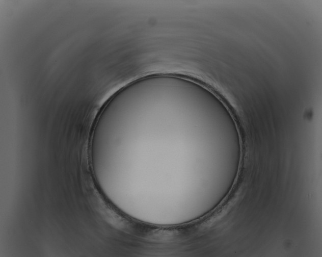 X0000091731513200708241031