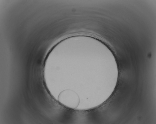 X0000091731514200708241031