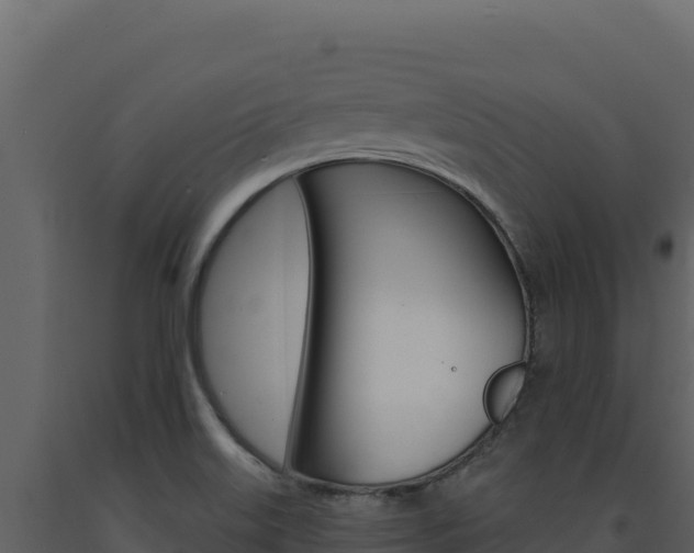 X0000091731515200708241031