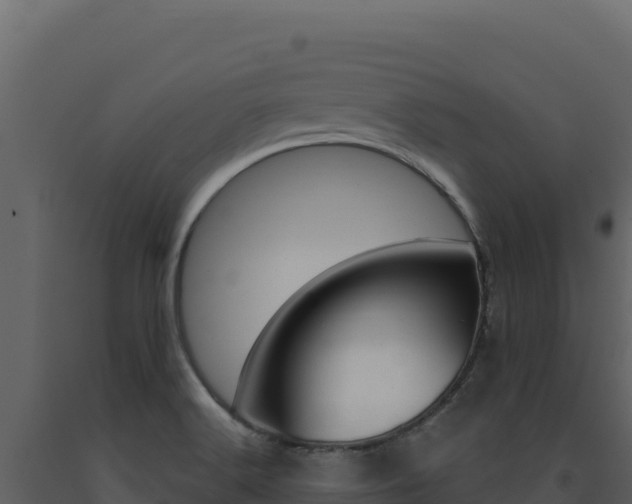 X0000091731516200708241031