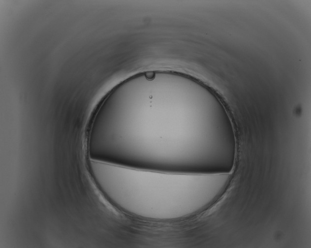 X0000091731517200708241031