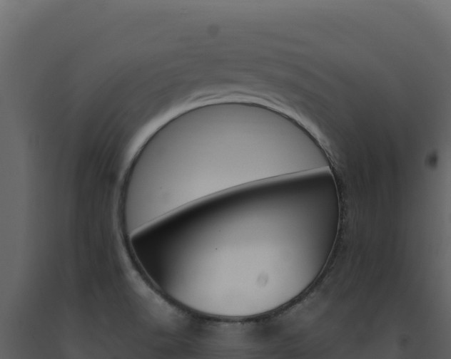 X0000091731518200708241031