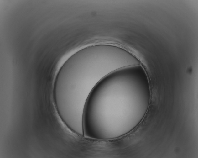 X0000091731520200708241031
