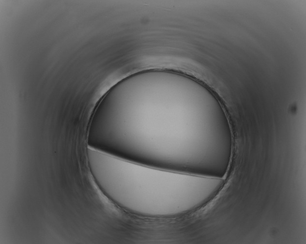 X0000091731521200708241031
