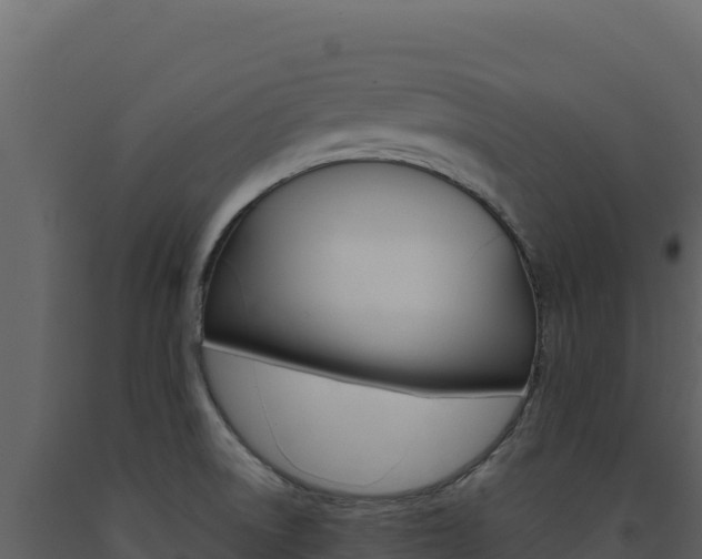 X0000091731522200708241031