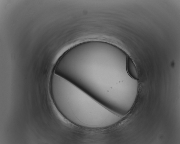 X0000091731523200708241031