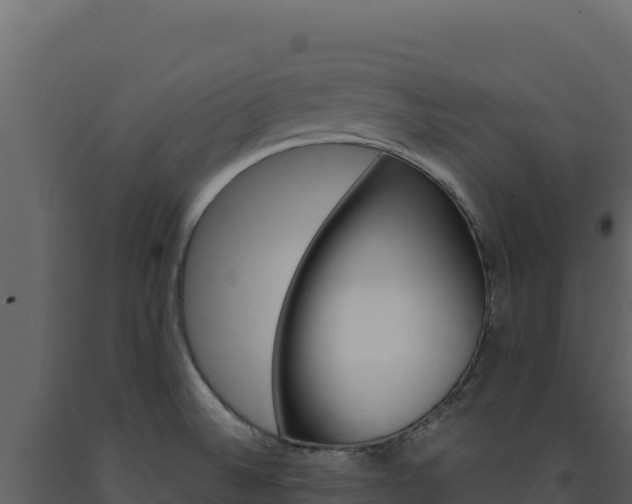X0000091731524200708241031