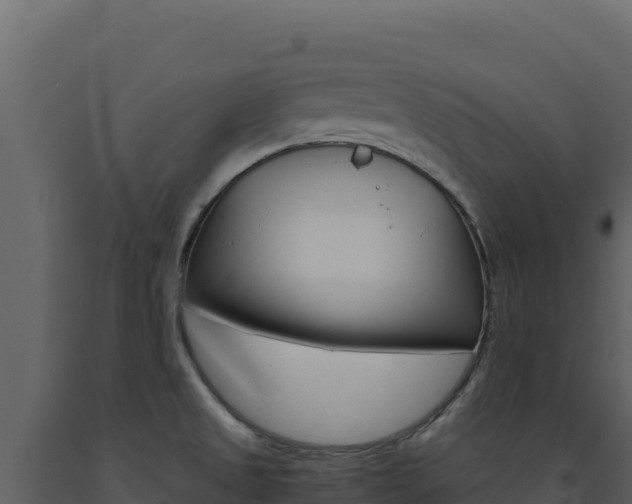 X0000091731525200708241031