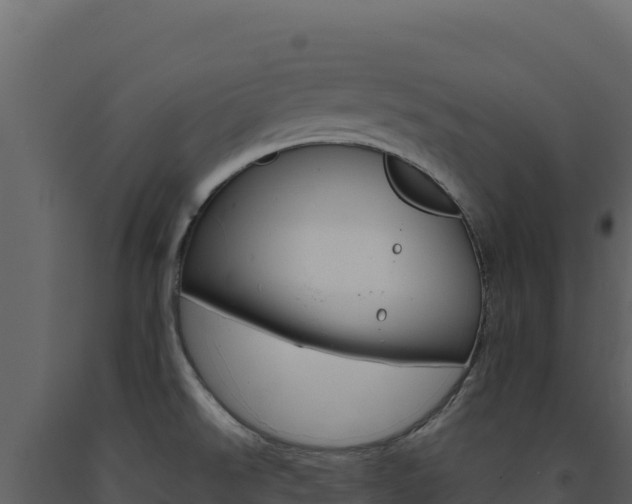 X0000091731526200708241031
