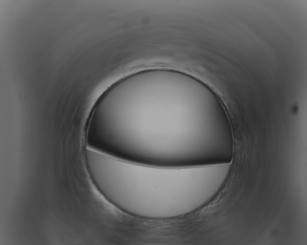 X0000091731527200708241031