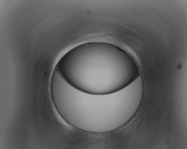 X0000091731528200708241032