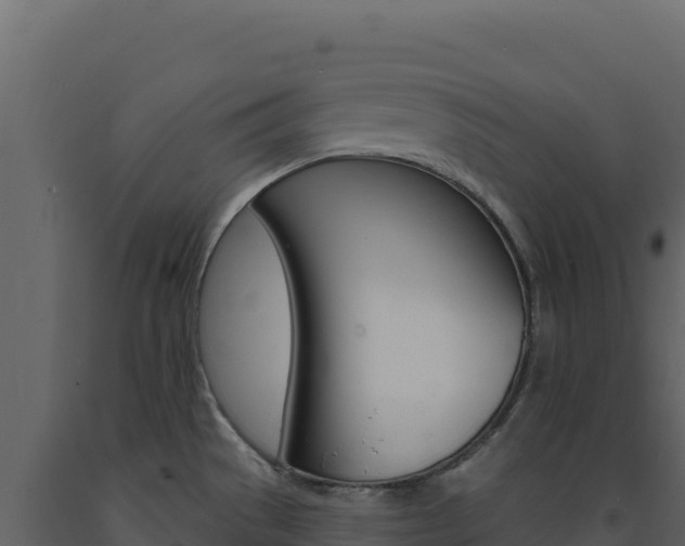 X0000091731529200708241032