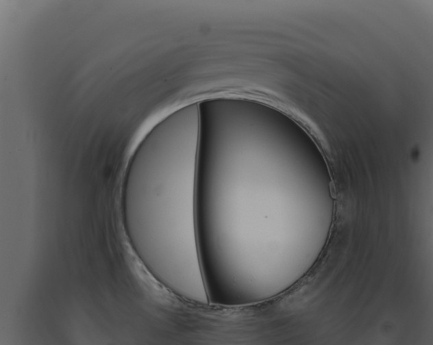 X0000091731530200708241032