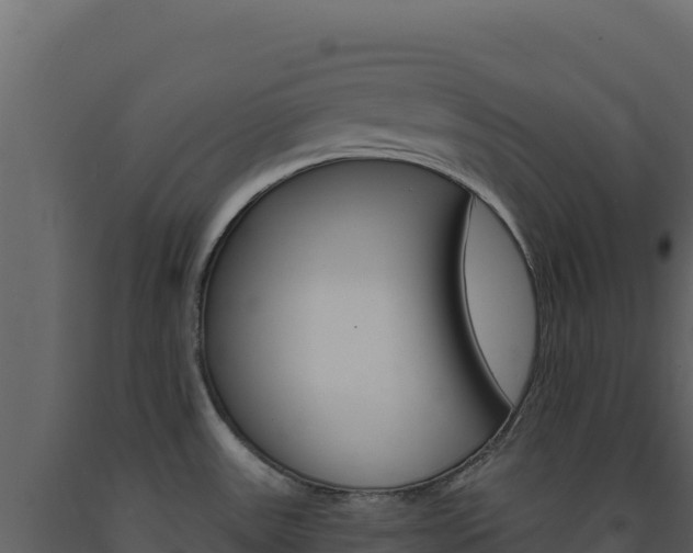 X0000091731531200708241032