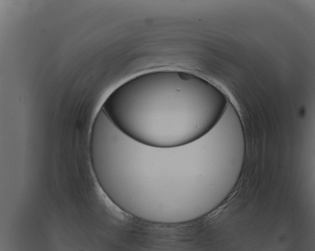 X0000091731532200708241032