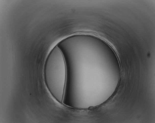 X0000091731533200708241032