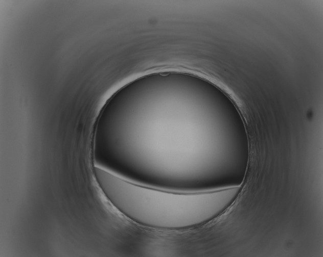 X0000091731534200708241032